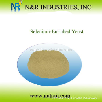 Reliable supplier Selenium-Enriched Yeast or yeast selenium powder